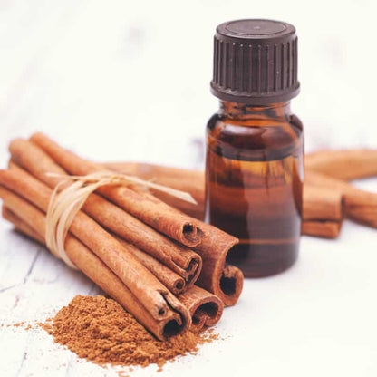 Elcarim Cinnamon Essential Oil (Cinnamomum veru)