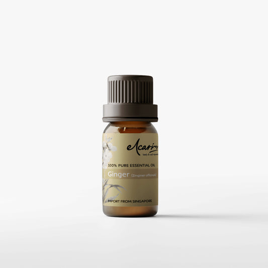 Elcarim Ginger Essential Oil (Zingiber officinale Rosc)