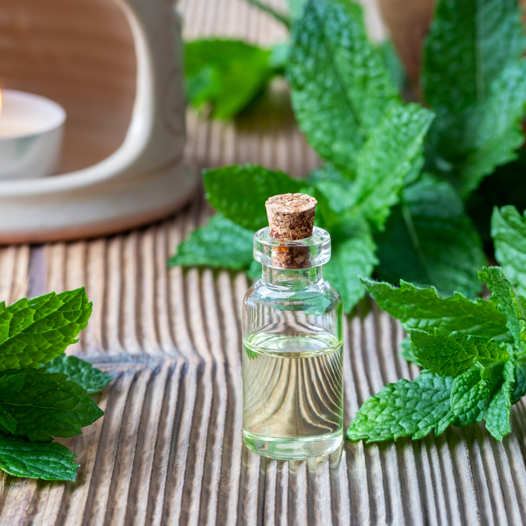 Elcarim Peppermint Essential Oil (Mentha piperita)