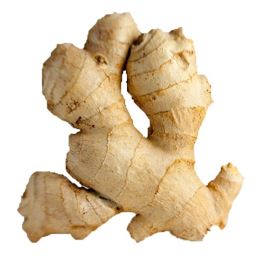 Elcarim Ginger Essential Oil (Zingiber officinale Rosc)