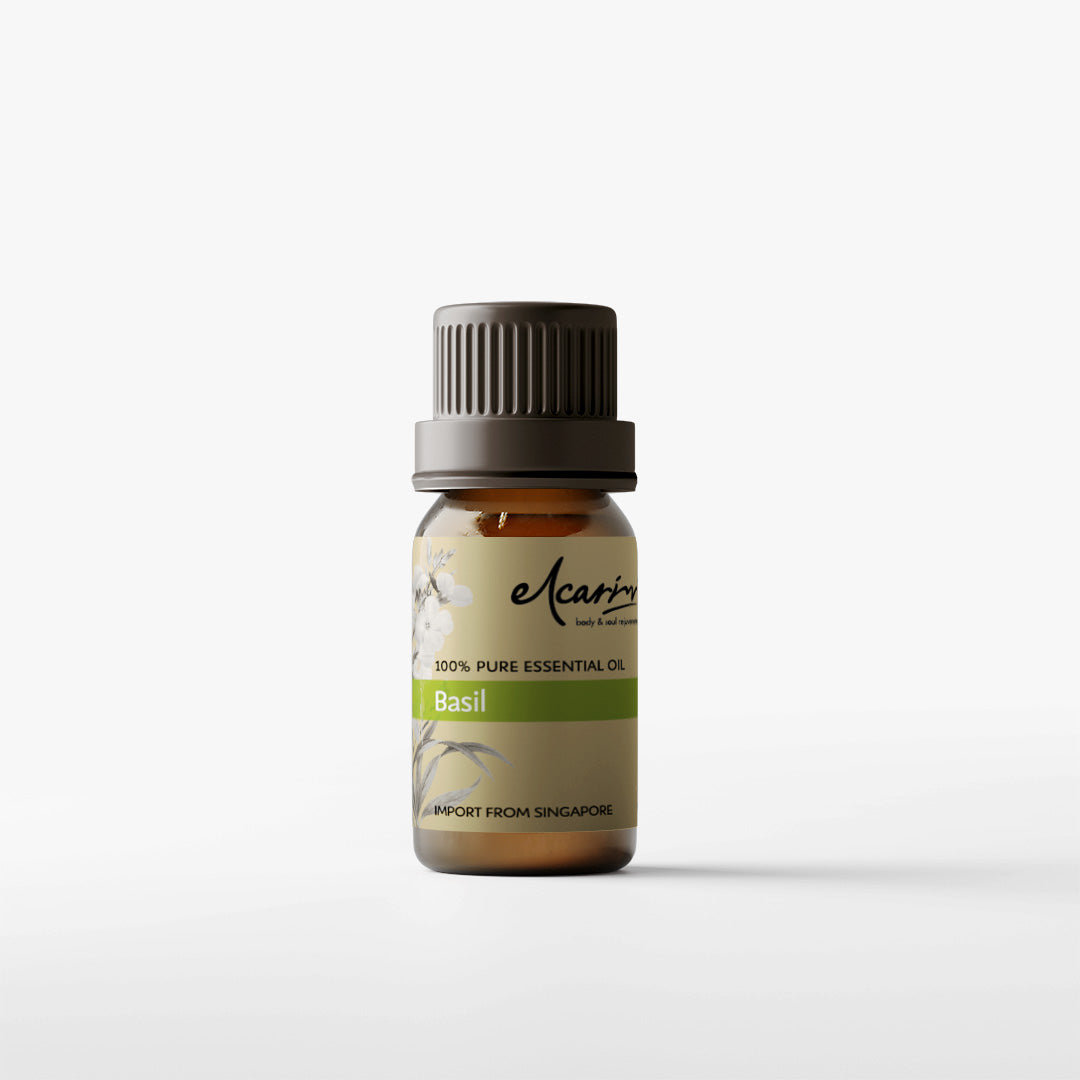 Basil Essential Oil