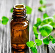 Elcarim Basil Essential Oil (Ocimum basilicum)