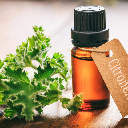 Elcarim Citronella Essential Oil (Cymbopogon nardus)