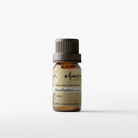 Elcarim Eucalyptus Essential Oil (Eucalyptus globulus)