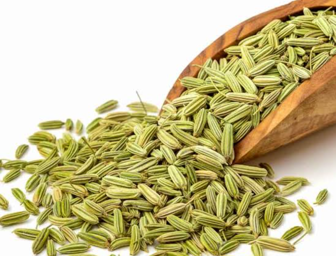 Elcarim Fennel Essential Oil (Foeniculum vulgare)