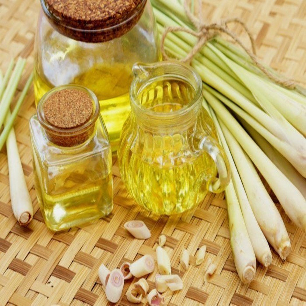 Elcarim Lemongrass Essential Oil (cymbopogon citratus)