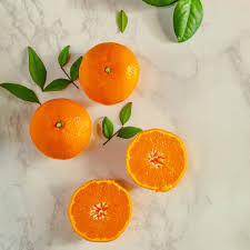 Elcarim Balance Synergy Oil