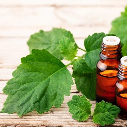 Elcarim Patchouli Essential Oil (Pogostemon cablin)
