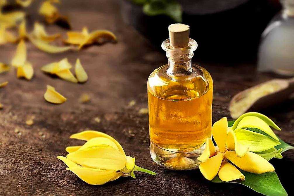Elcarim Ylang Ylang Essential Oil (Cananga odorata)